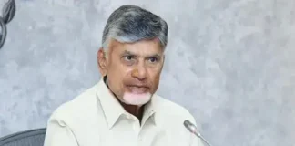 Ongole Cow Sold For 41 Crores A World Record In Brazil