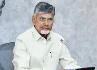 Ongole Cow Sold For 41 Crores A World Record In Brazil