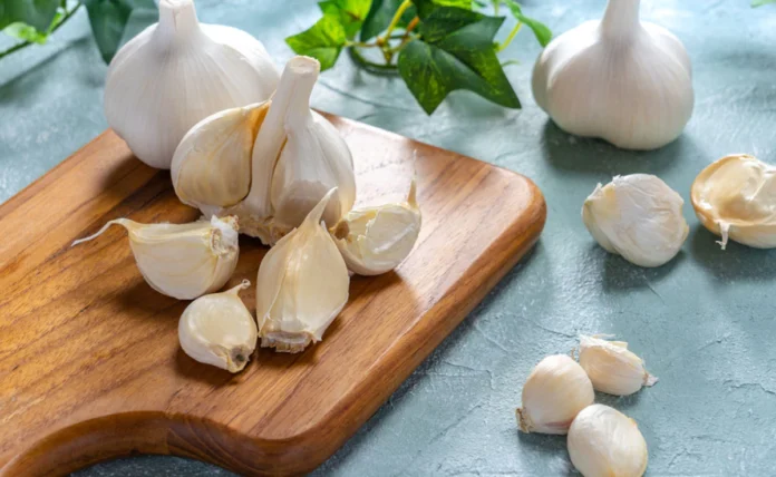 Garlic Is Good But Not For All, Garlic Is Good, Garlic Is Not Good For All, Garlic Benefits, Health Benefits Of Garlic, Advantages Of Garlic, Disadvantages Of Raw Garlic, Garlic, Raw Garlic Side Effects, Health, Health News, Health Tips, Healthy Food, Healthy Diet, Fitness, Mango News, Mango News Telugu