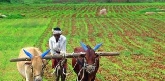 Financial Aid For Farmers First Phase Begins In April, Financial Aid For Farmers, First Phase Begins In April, Farmers Financial Aid Begins In April, Annadata Sukhibhava, AP Farmers Scheme, Chandrababu Naidu, Financial Aid, Kisan Samman Nidhi, Andhra Pradesh, AP Live Updates, AP Politics, Political News, Live Updates, Breaking News, Headlines, Live News, Mango News, Mango News Telugu