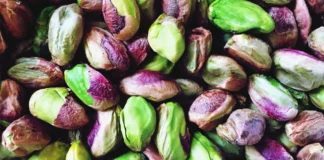 Are There All The Benefits Of Eating Pistachios Every Day, Eating Pistachios Every Day, Health Benefits Of Pistachios, Pistachios Benefits, Advantages Of Pistachios, Benefits Of Eating Pistachios, Benefits Of Eating Pistachios Every Day, Pista, Pistachios, Health, Health News, Health Tips, Healthy Food, Healthy Diet, Mango News, Mango News Telugu