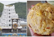 Four Arrested In Tirumala Laddu Controversy More Arrests Are Expected
