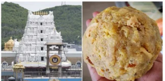 Four Arrested In Tirumala Laddu Controversy More Arrests Are Expected