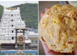 Four Arrested In Tirumala Laddu Controversy More Arrests Are Expected