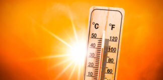 Telangana Heats Up Early Scorching Temperatures Before Summer Begins