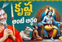 Krishna Meaning Significance Of Lord Krishna Meaning, Lord Krishna, Chinna Jeeyar Swamy Pravachanalu, Chinna Jeeyar Swamy Discourses, Krishna Meaning, Significance Of Lord Krishna, Spiritual Teachings., Statue Of Equality, Sri Sri Tridandi Chinnajeer Swami, Statue Of Equality, Chinnajeer Swami, Chinnajeer Swami Latest News, Live Updates, Breaking News, Headlines, Live News, Mango News, Mango News Telugu