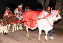 Unique Wedding In Ghaziabad Groom Accepts 11000 Saplings As Dowry, Unique Wedding In Ghaziabad, Ghaziabad Unique Wedding, Saplings As Dowry, 11000 Saplings Dowry, Eco Friendly Wedding, Ghaziabad Unique Marriage, Social Awareness Wedding, Sustainable Marriage Initiative, Ghaziabad, National News, International News, India, PM Modi, Live Updates, Breaking News, Live News, Mango News, Mango News Telugu