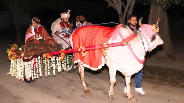 Unique Wedding In Ghaziabad Groom Accepts 11000 Saplings As Dowry, Unique Wedding In Ghaziabad, Ghaziabad Unique Wedding, Saplings As Dowry, 11000 Saplings Dowry, Eco Friendly Wedding, Ghaziabad Unique Marriage, Social Awareness Wedding, Sustainable Marriage Initiative, Ghaziabad, National News, International News, India, PM Modi, Live Updates, Breaking News, Live News, Mango News, Mango News Telugu