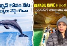 Is Hunting For Dolphins A Waste Of Money, Hunting For Dolphins, Dolphins Hunting, Benagil Cave Tour, Faro, Karthi Kites, Portugal Ep 4, Portugal, Karthi Kites Channel, Karthi Kites Vlogs, Karthi Kites Videos, National News, International News, India, BJP, PM Modi, Live Updates, Breaking News, Live News, Mango News, Mango News Telugu