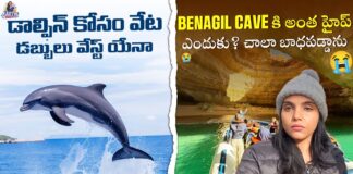 Is Hunting For Dolphins A Waste Of Money, Hunting For Dolphins, Dolphins Hunting, Benagil Cave Tour, Faro, Karthi Kites, Portugal Ep 4, Portugal, Karthi Kites Channel, Karthi Kites Vlogs, Karthi Kites Videos, National News, International News, India, BJP, PM Modi, Live Updates, Breaking News, Live News, Mango News, Mango News Telugu