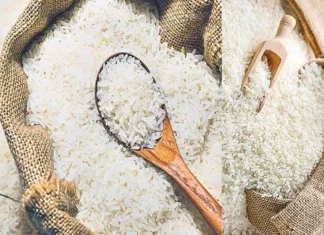 తెలుగు ప్రజలకు ప్రభుత్వం ఉగాది కానుక..