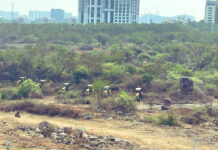 Telangana High Court Postpones Hearing On Kanch Gachibowli Land Case To April 7,interim order, Kanch Gachibowli land, land dispute, Public Interest Litigation, Telangana High Court,HCU Land Issue,telangana government,HCU land dispute Updates,Kancha Gachibowli Land Row,Telangana CM,Mango News,Mango News Telugu,HCU land dispute,HCU students,hyderabad news,Hyderabad Protests,Kancha Gachibowli,Telangana CM Revanth Reddy,Telangana Government,Kancha Gachibowli Land Dispute,HCU,HCU Land Dispute News,HCU News,HCU Latest News,University Of Hyderabad,CM Revanth Reddy,CM Revanth Reddy Latest News,CM Revanth Reddy News,Telangana,Telangana News,Telangana Latest News,HCU Land Controversy,HCU Land Row,HCU Land Issue News,Mango News,Mango News Telugu