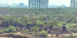Telangana High Court Postpones Hearing On Kanch Gachibowli Land Case To April 7,interim order, Kanch Gachibowli land, land dispute, Public Interest Litigation, Telangana High Court,HCU Land Issue,telangana government,HCU land dispute Updates,Kancha Gachibowli Land Row,Telangana CM,Mango News,Mango News Telugu,HCU land dispute,HCU students,hyderabad news,Hyderabad Protests,Kancha Gachibowli,Telangana CM Revanth Reddy,Telangana Government,Kancha Gachibowli Land Dispute,HCU,HCU Land Dispute News,HCU News,HCU Latest News,University Of Hyderabad,CM Revanth Reddy,CM Revanth Reddy Latest News,CM Revanth Reddy News,Telangana,Telangana News,Telangana Latest News,HCU Land Controversy,HCU Land Row,HCU Land Issue News,Mango News,Mango News Telugu