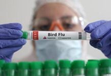 Girl Dies Of Bird Flu Is That The Reason,Mango News,Mango News Telugu,A Sporadic Case,Aiims Doctors,Bird Flu,Girl Dies Of Bird Flu,Influenza Subtype Influenza,Fatal H5N1 case reported in India's Andhra Pradesh state,Fatal H5N1 case,Bird Flu News,Bird Flu Latest News,Bird Flu Updates,Bird Flu Live Updates,Bird Flu In AP,First Human Death From Bird Flu In Andhra Pradesh,2 Year Old Girl Dies Due To Bird Flu In Andhra,Andhra Pradesh News,Andhra Pradesh Latest News,AP,AP News,AP Latest News,Andhra Pradesh,Bird Flu In Andhra Pradesh,Andhra Pradesh Bird Flu News,Bird Flu In Andhra,Bird Flu In AP