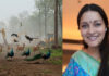 Renu Desai's Special Request To Telangana CM,HCU Land Issue, Renu Desai, Renu Desai’s special request to Telangana CM,Telangana CM,Mango News,Mango News Telugu,HCU land dispute,HCU students,hyderabad news,Hyderabad Protests,Kancha Gachibowli,PIL High Court,Telangana CM Revanth Reddy,Telangana Congress,Telangana Government,Kancha Gachibowli Land Dispute,HCU,HCU Land Dispute News,HCU News,HCU Latest News,University Of Hyderabad,CM Revanth Reddy,CM Revanth Reddy Latest News,CM Revanth Reddy News,Telangana,Telangana News,Telangana Latest News,Renu Desai Latest News,Renu Desai Request To Telangana CM,Renu Desai Request To CM Revanth Reddy,Renu Desai Requests CM Revanth Reddy,Renu Desai Emotional Request To Revanth Reddy,HCU Land Controversy