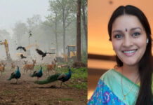 Renu Desai's Special Request To Telangana CM,HCU Land Issue, Renu Desai, Renu Desai’s special request to Telangana CM,Telangana CM,Mango News,Mango News Telugu,HCU land dispute,HCU students,hyderabad news,Hyderabad Protests,Kancha Gachibowli,PIL High Court,Telangana CM Revanth Reddy,Telangana Congress,Telangana Government,Kancha Gachibowli Land Dispute,HCU,HCU Land Dispute News,HCU News,HCU Latest News,University Of Hyderabad,CM Revanth Reddy,CM Revanth Reddy Latest News,CM Revanth Reddy News,Telangana,Telangana News,Telangana Latest News,Renu Desai Latest News,Renu Desai Request To Telangana CM,Renu Desai Request To CM Revanth Reddy,Renu Desai Requests CM Revanth Reddy,Renu Desai Emotional Request To Revanth Reddy,HCU Land Controversy