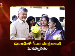AP CM Chandrababu Naidu Receives Grand Welcome in Dubai