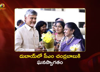 AP CM Chandrababu Naidu Receives Grand Welcome in Dubai