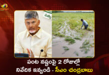 AP CM Chandrababu Seeks Immediate Report on Crop Damage After Cyclone Montha