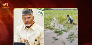 AP CM Chandrababu Seeks Immediate Report on Crop Damage After Cyclone Montha