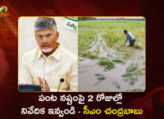 AP CM Chandrababu Seeks Immediate Report on Crop Damage After Cyclone Montha