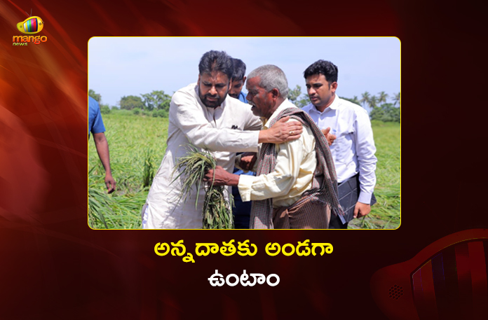 AP Dy CM Pawan Kalyan Assures Aid to Farmers Affected by Crop Loss in Koduru AP Dy CM Pawan Kalyan Assures Aid to Farmers Affected by Crop Loss in Koduru