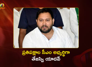 Bihar Polls: Mahagathbandhan Declares Tejashwi Yadav Named Opposition's CM Face