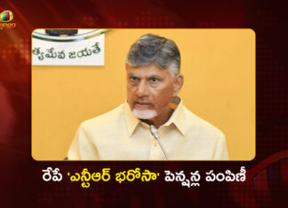 CM Chandrababu To Distribute NTR Bharosa Pensions in Peddannavaripalli Tomorrow