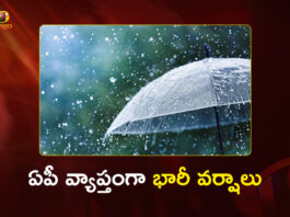 IMD Declared Red Alert in AP Due to Heavy Downpour Across The State