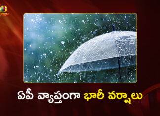 IMD Declared Red Alert in AP Due to Heavy Downpour Across The State