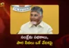 AP CM Chandrababu Directs Issuance of Smart Family Cards to 1.4 Cr Families by June 2026
