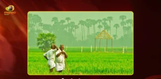 AP Govt Launches Raitanna Meekosam Program From Today For Farmers