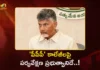 CM Chandrababu Announces, Govt To Oversee All PPP Medical Colleges