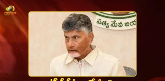 CM Chandrababu Announces, Govt To Oversee All PPP Medical Colleges