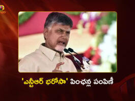 CM Chandrababu Distributes NTR Bharosa Pensions at Peddannavaripalli Today