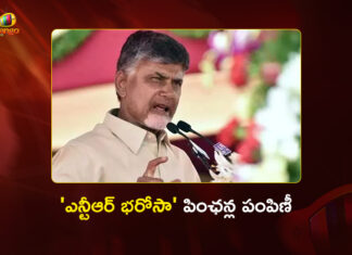 ఎన్టీఆర్ భరోసా పింఛన్ల పంపిణీని ప్రారంభించిన సీఎం చంద్రబాబు CM Chandrababu Distributes NTR Bharosa Pensions at Peddannavaripalli Today