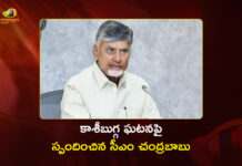 కాశీబుగ్గలో తీవ్ర విషాదం.. సీఎం చంద్రబాబు దిగ్భ్రాంతి CM Chandrababu Responds on Fatal Stampede at Kasibugga Temple, Srikakulam