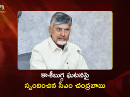 CM Chandrababu Responds on Fatal Stampede at Kasibugga Temple, Srikakulam