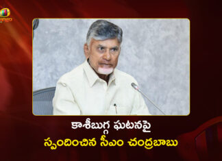 కాశీబుగ్గలో తీవ్ర విషాదం.. సీఎం చంద్రబాబు దిగ్భ్రాంతి CM Chandrababu Responds on Fatal Stampede at Kasibugga Temple, Srikakulam