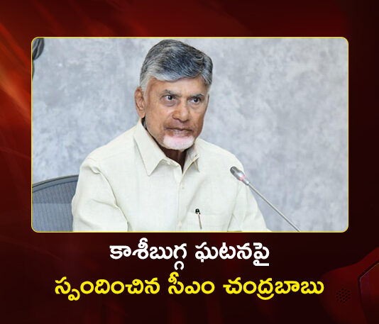 CM Chandrababu Responds on Fatal Stampede at Kasibugga Temple, Srikakulam