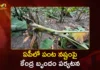 Central Team Two-Day Visit To Assess Crop Damage Caused By Montha Cyclone in AP