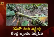 Central Team Two-Day Visit To Assess Crop Damage Caused By Montha Cyclone in AP
