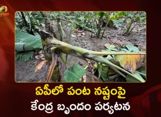 Central Team Two-Day Visit To Assess Crop Damage Caused By Montha Cyclone in AP