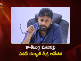 Deputy CM Pawan Kalyan Expresses Profound Grief Over Kasibugga Temple Stampede