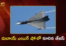 Dubai Air Show Indian LCA Tejas Goes Down During Aerobatic Display