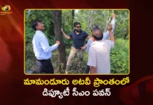 Dy CM Pawan Kalyan Inspects Mamanduru Forest Area and Red Sanders Depot in Tirupati