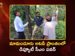 Dy CM Pawan Kalyan Inspects Mamanduru Forest Area and Red Sanders Depot in Tirupati