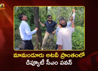Dy CM Pawan Kalyan Inspects Mamanduru Forest Area and Red Sanders Depot in Tirupati