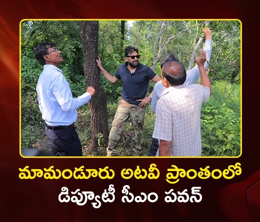 Dy CM Pawan Kalyan Inspects Mamanduru Forest Area and Red Sanders Depot in Tirupati
