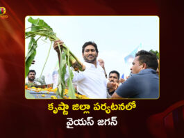 Ex-CM YS Jagan Tours Crop Loss Fields in Krishna District Post Montha Cyclone